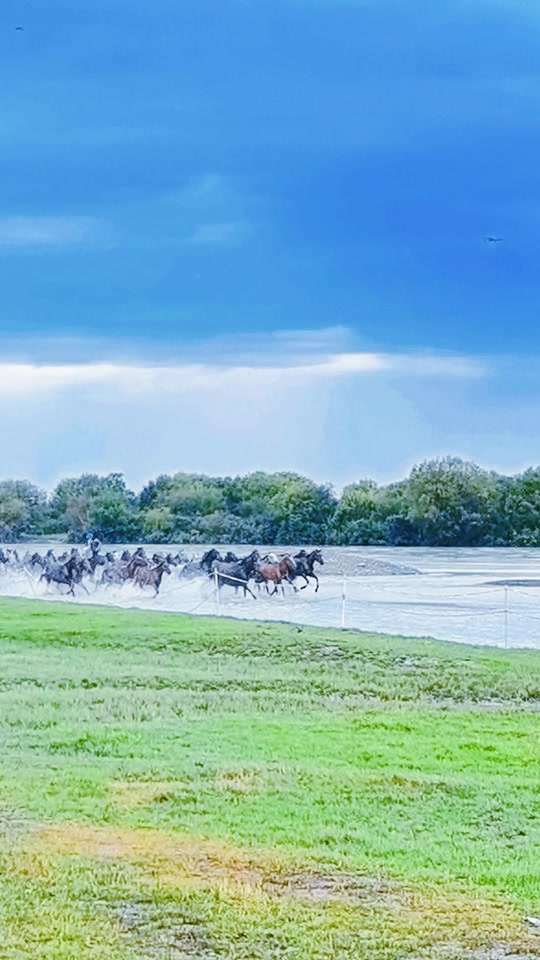 澳客投注-关于球场上掀起一片鸡飞狗跳的所向披靡场面的信息